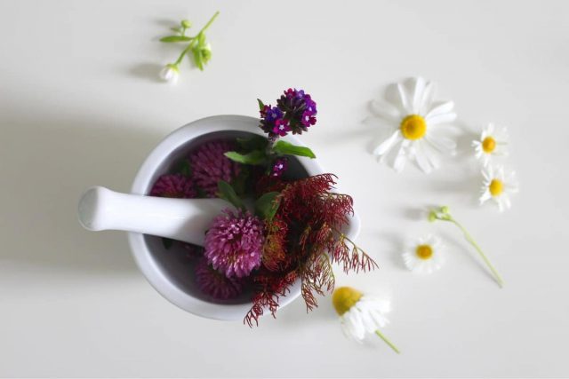 A mortar and pestle with natural flowers sprinkled around on a white desk